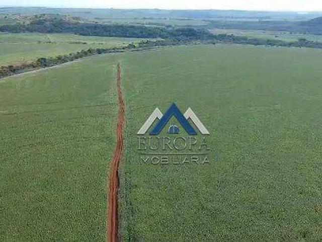 Fazenda venda em Leópolis, Região Geográfica Intermediária de Londrina