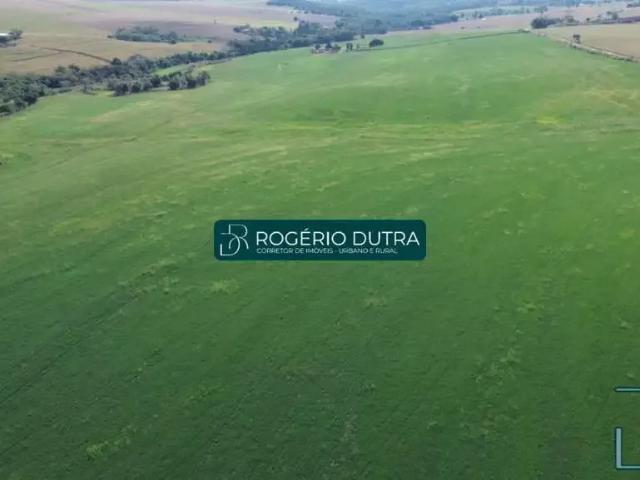 Fazenda venda em Região Geográfica Imediata de Cornélio Procópio-Bandeirantes, Leópolis