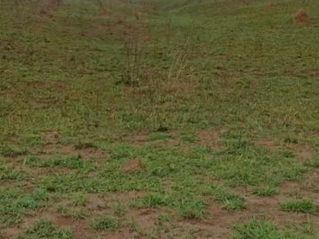Fazenda venda em Região Geográfica Imediata de Juiz de Fora, Liberdade