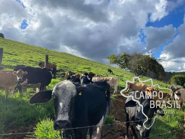 Fazenda venda em Região Geográfica Imediata de Juiz de Fora, Liberdade