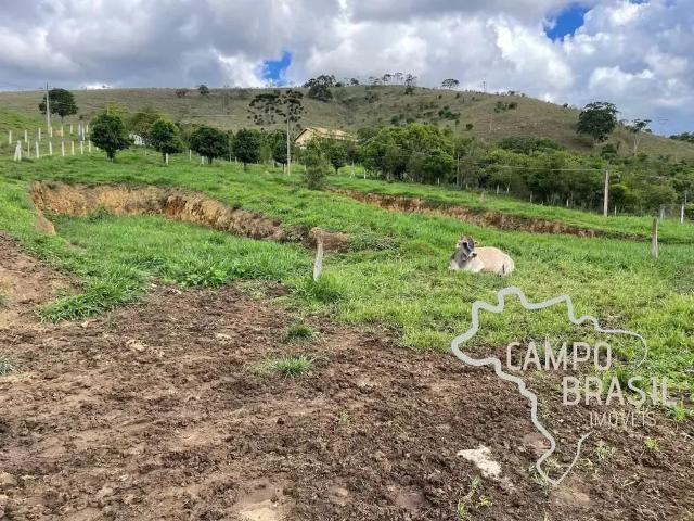 Fazenda venda em Região Geográfica Imediata de Juiz de Fora, Liberdade