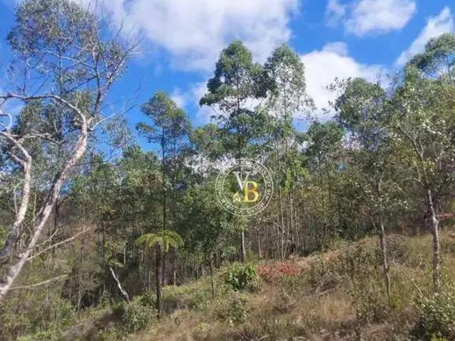 Fazenda venda em Região Geográfica Imediata de Juiz de Fora, Lima Duarte