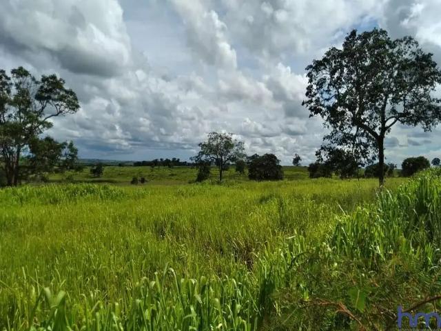 Fazenda venda em Região Geográfica Imediata de Iturama, Limeira do Oeste