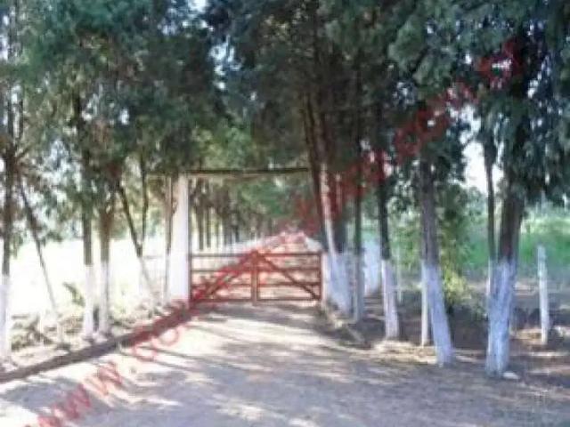 Fazenda venda em Região Imediata de Campinas, Região Metropolitana de Campinas