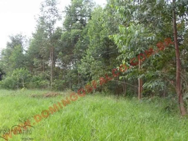 Fazenda venda em Região Imediata de Limeira, Região Metropolitana de Piracicaba