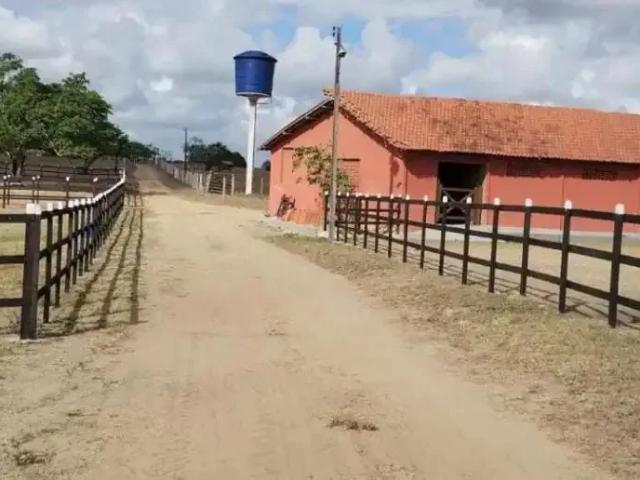 Fazenda venda em Limoeiro, Região Nordeste