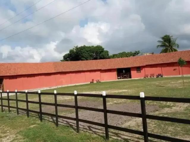 Fazenda venda em Limoeiro, Região Nordeste