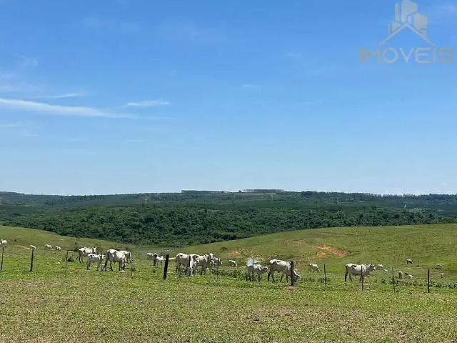 Fazenda venda em Região Imediata de Lins, Lins