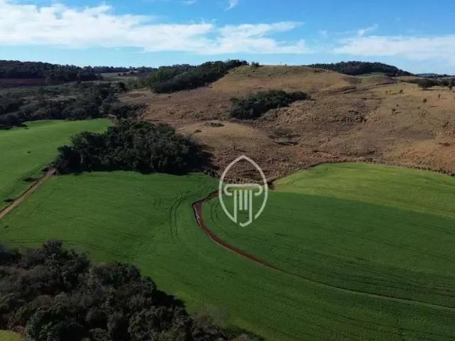 Fazenda venda em Região Geográfica Imediata de Londrina, Londrina