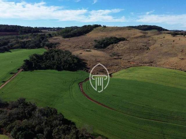 Fazenda venda em Região Geográfica Imediata de Londrina, Londrina