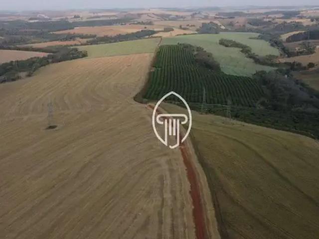 Fazenda venda em Região Geográfica Imediata de Londrina, Cambé