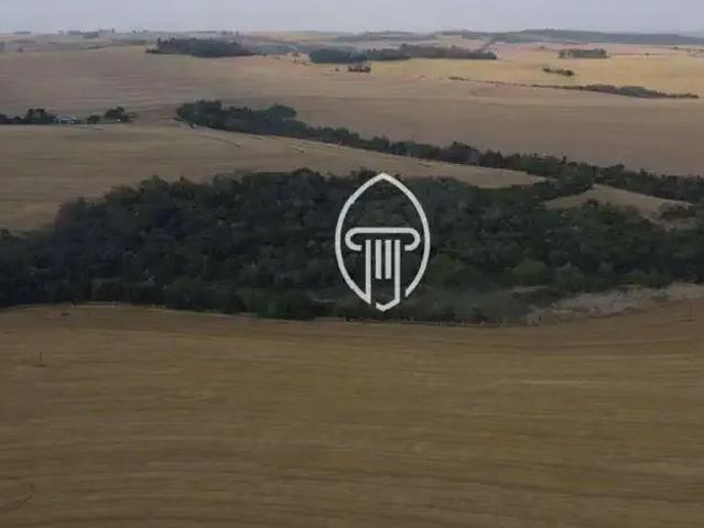Fazenda venda em Região Geográfica Imediata de Londrina, Cambé