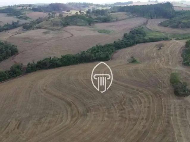 Fazenda venda em Região Geográfica Imediata de Londrina, Londrina