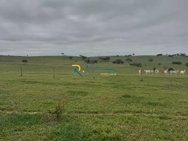 Fazenda venda em Região Geográfica Imediata de Londrina, Londrina