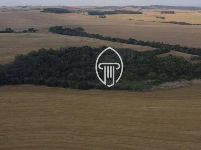 Fazenda venda em Região Geográfica Imediata de Londrina, Cambé