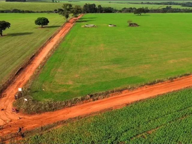 Fazenda venda em Região Geográfica Imediata de Londrina, Londrina