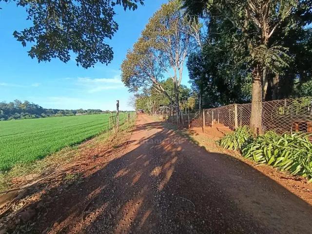 Fazenda venda em Região Geográfica Imediata de Londrina, Londrina