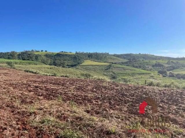 Fazenda venda em Região Geográfica Imediata de Londrina, Londrina