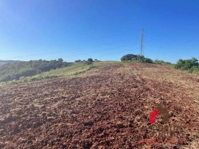 Fazenda venda em Região Geográfica Imediata de Londrina, Londrina