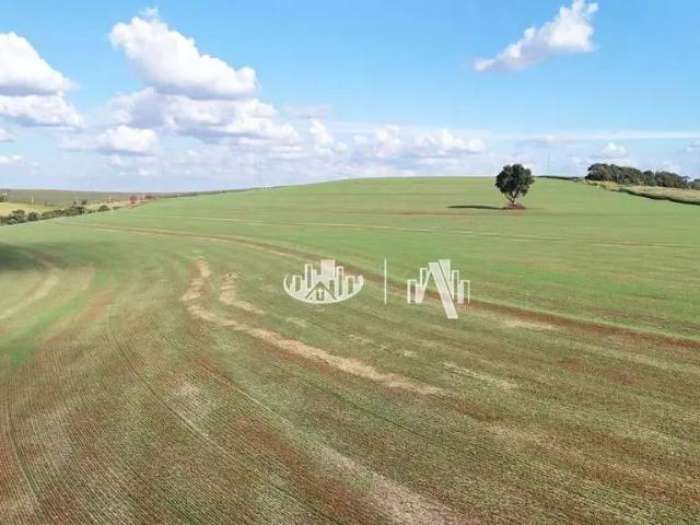 Fazenda venda em Região Geográfica Imediata de Londrina, Londrina