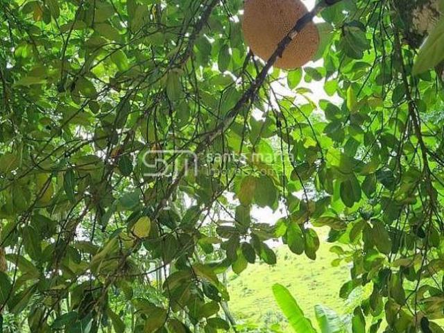 Sítio e chácara venda em Região Imediata de Guaratinguetá, Região Metropolitana do Vale do Paraíba e Litoral Norte