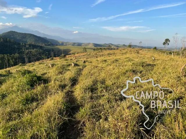 Fazenda venda em Região Imediata de Guaratinguetá, Região Metropolitana do Vale do Paraíba e Litoral Norte