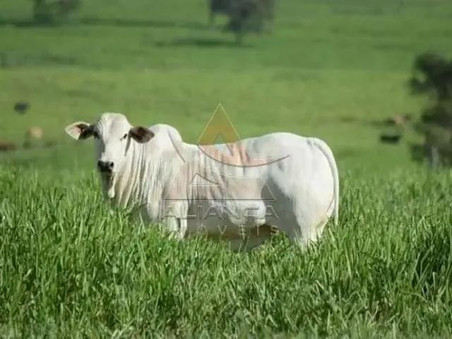 Fazenda venda em Região Imediata de Guaratinguetá, Região Metropolitana do Vale do Paraíba e Litoral Norte