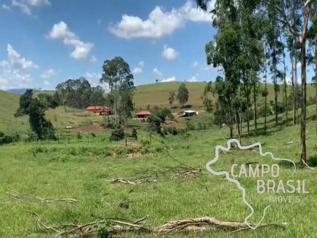 Fazenda venda em Lorena
