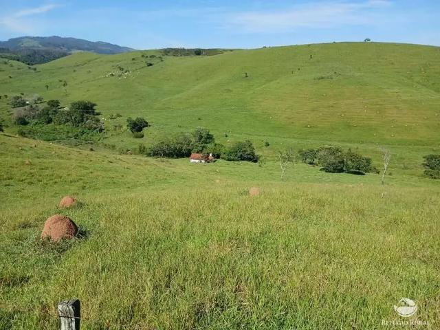 Fazenda venda em Região Imediata de Guaratinguetá, Região Metropolitana do Vale do Paraíba e Litoral Norte