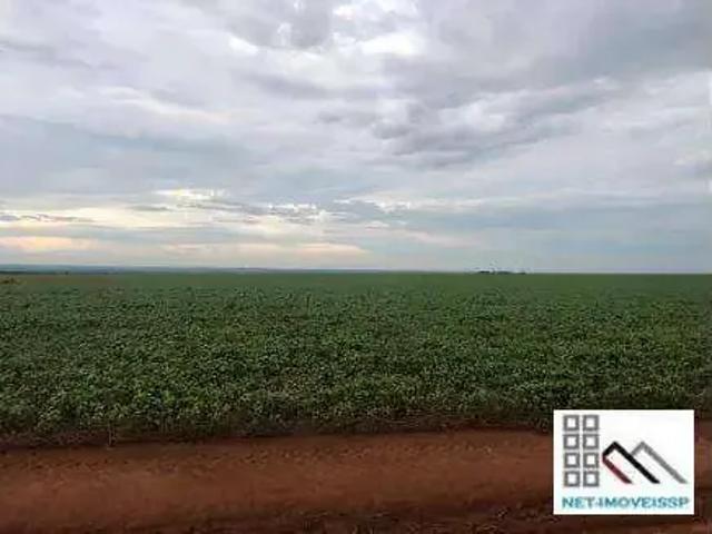 Fazenda venda em Região Geográfica Imediata de Sorriso, Lucas do Rio Verde
