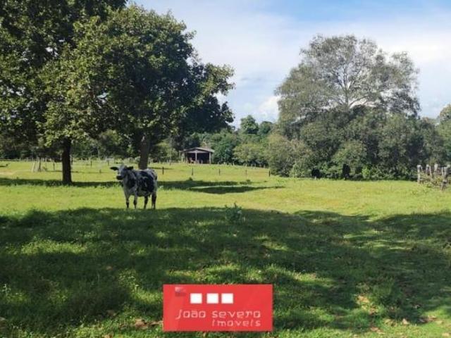 Sítio e chácara venda em Região Geográfica Imediata de Confresa - Vila Rica, Luciara