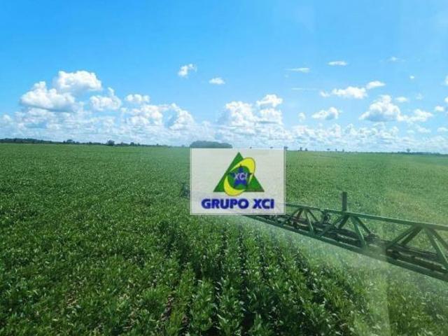 Sítio e chácara venda em Região Geográfica Imediata de Confresa - Vila Rica, Luciara