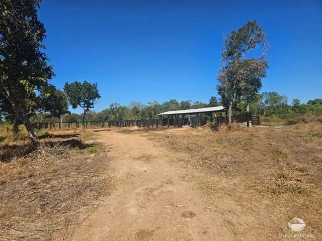 Fazenda venda em Região Geográfica Imediata de Confresa - Vila Rica, Luciara