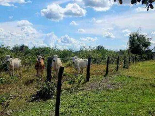 Fazenda venda em Região Geográfica Imediata de Confresa - Vila Rica, Luciara