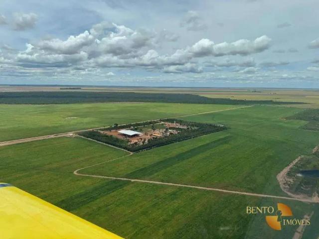 Fazenda venda em Região Geográfica Imediata de Barreiras, Luís Eduardo Magalhães