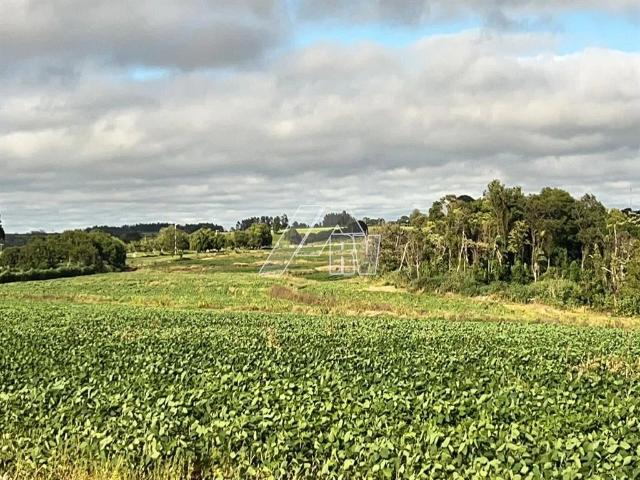 Fazenda venda em Lupércio