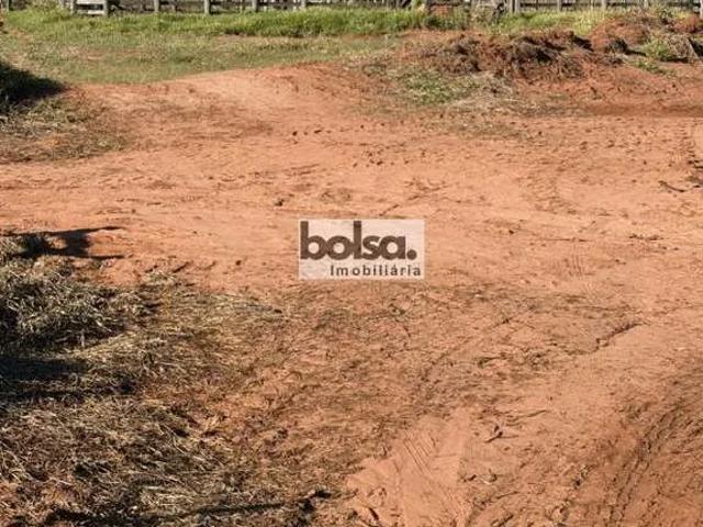 Fazenda venda em Lupércio, Região Geográfica Intermediária de Marília