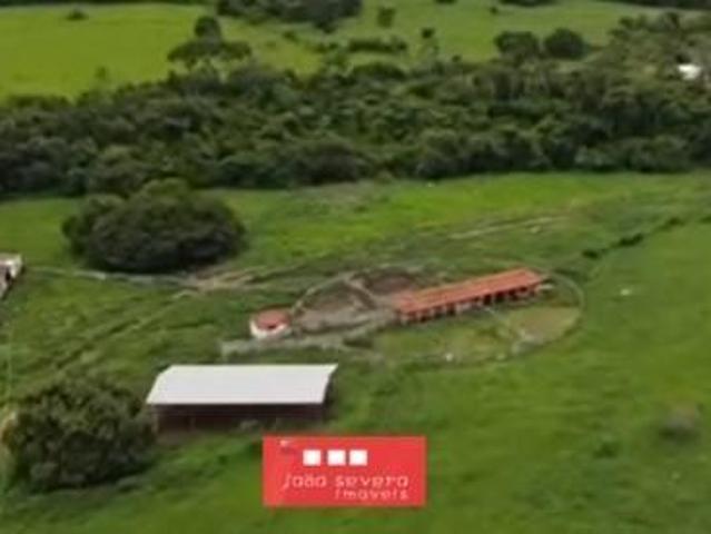 Sítio e chácara venda em Região Geográfica Imediata de Luziânia, Região Integrada de Desenvolvimento do Distrito Federal e Entorno