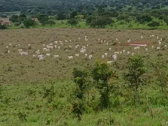 Fazenda venda em Região Geográfica Imediata de Luziânia, Região Integrada de Desenvolvimento do Distrito Federal e Entorno