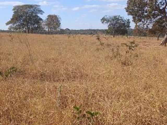 Fazenda venda em Região Geográfica Imediata de Luziânia, Região Integrada de Desenvolvimento do Distrito Federal e Entorno