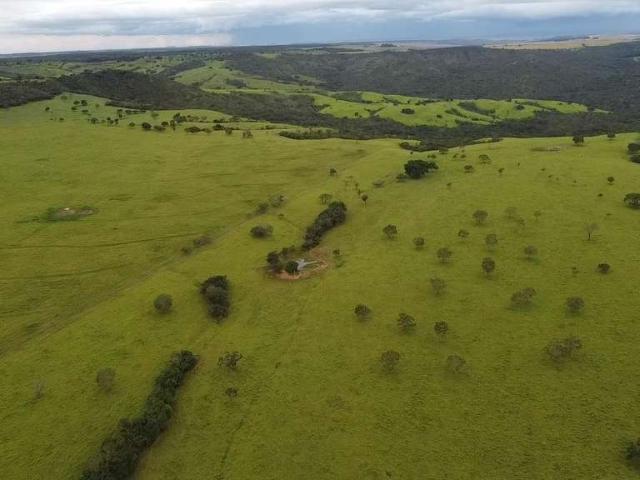 Fazenda venda em Região Geográfica Imediata de Luziânia, Região Integrada de Desenvolvimento do Distrito Federal e Entorno