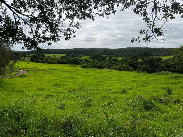 Fazenda venda em Região Imediata de Campinas, Região Metropolitana de Campinas