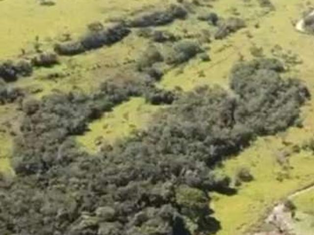 Fazenda venda em Região Imediata de Avaré, Paranapanema