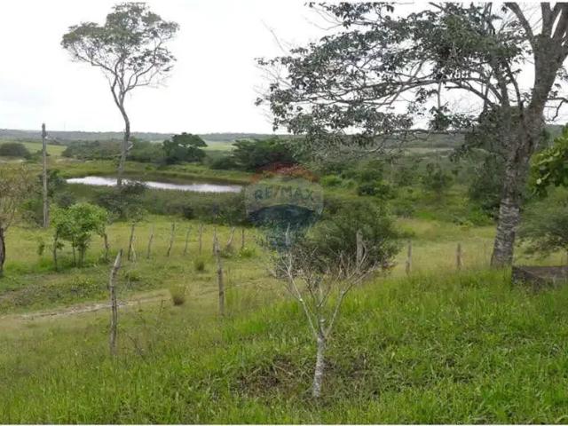 Fazenda venda em Região Geográfica Imediata de Natal, Macaíba
