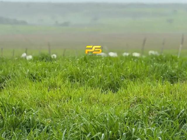 Fazenda venda em Região Geográfica Imediata de Natal, Macaíba
