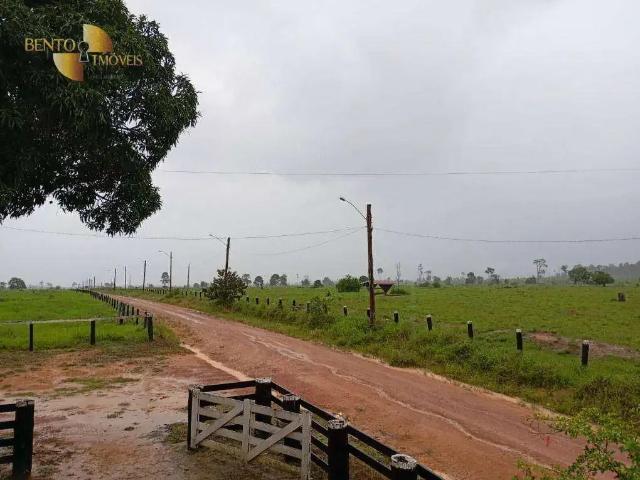 Fazenda venda em Machadinho d'Oeste, Região Norte