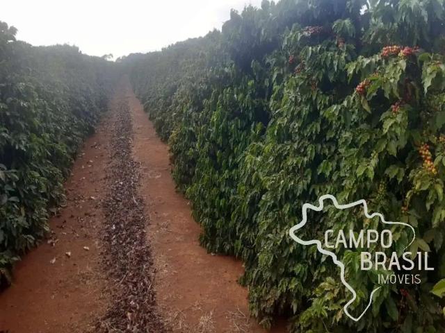 Fazenda venda em Região Geográfica Imediata de Pouso Alegre, Cambuí
