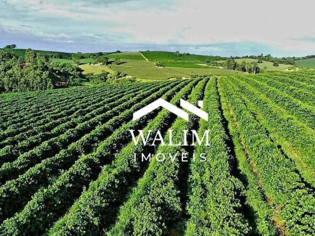 Fazenda venda em Região Geográfica Imediata de Alfenas, Machado
