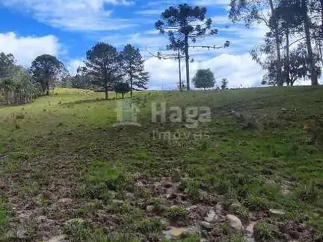 Fazenda venda em Região Geográfica Imediata de Brusque, Major Gercino