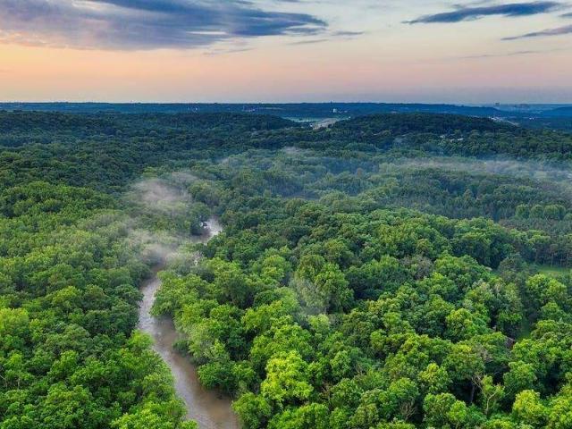 Fazenda venda em Região Geográfica Imediata de Manaus, Itamarati